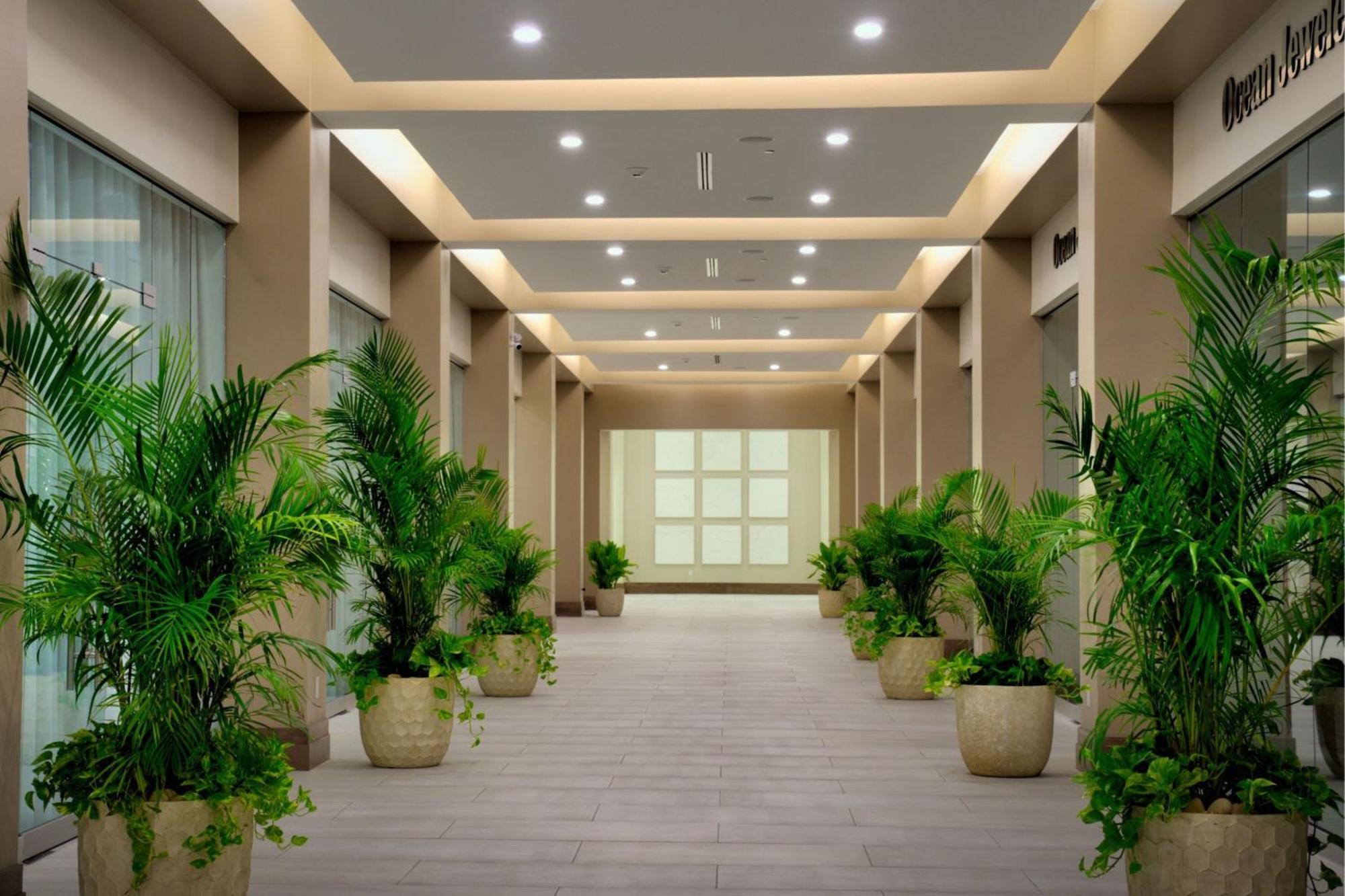 Jw Marriott St Maarten Beach Resort & Spa Dawn Beach Extérieur photo
